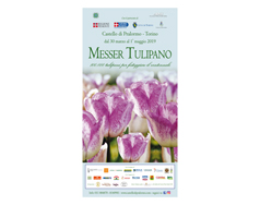img-download